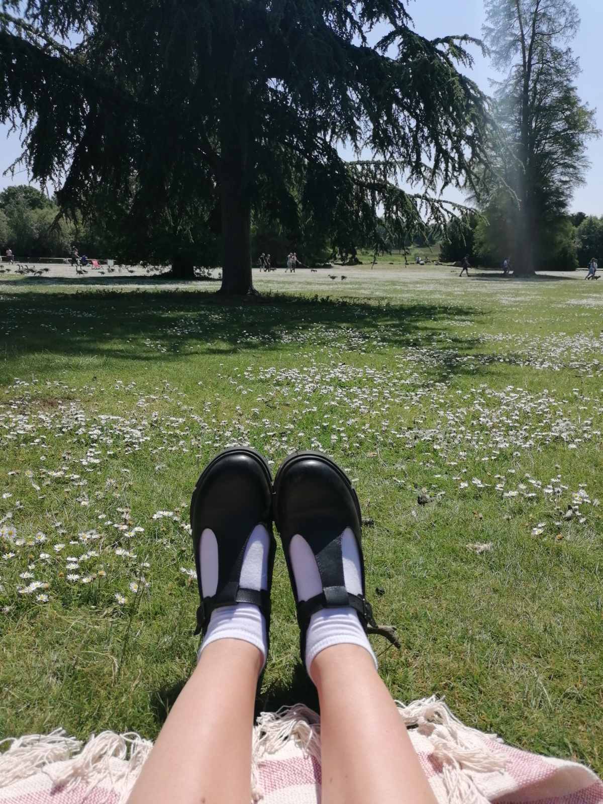 viber_изображение_2023-05-27_13-02-08-855