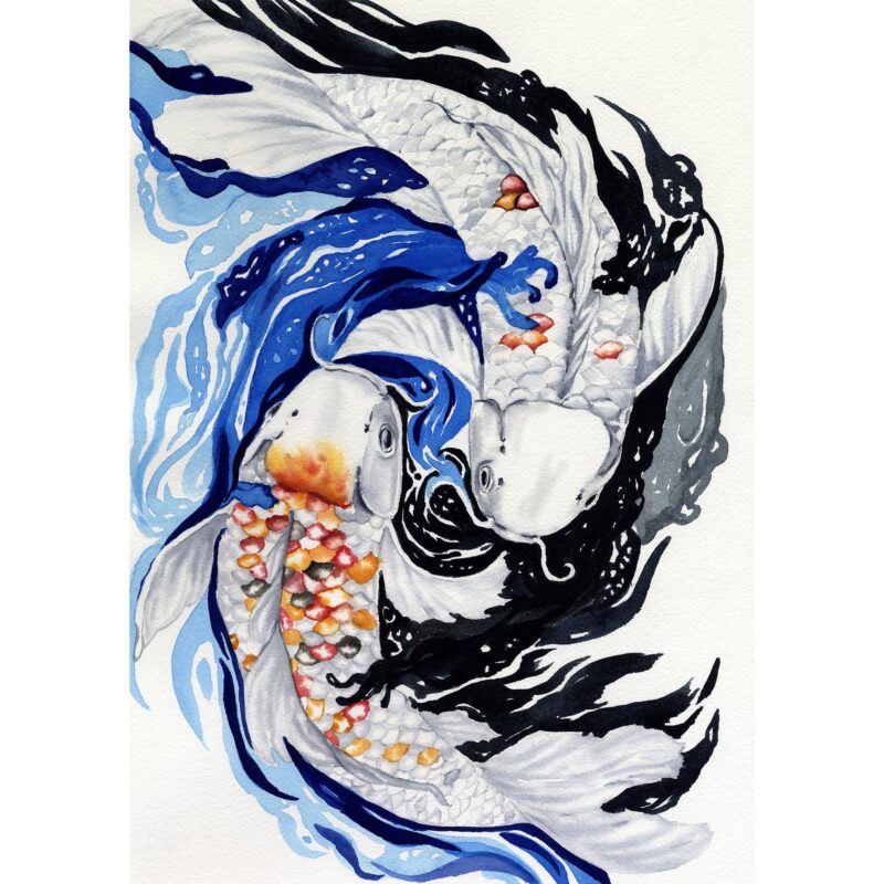 Two Currents, One Water – Koi Fish (Fine Art Print)